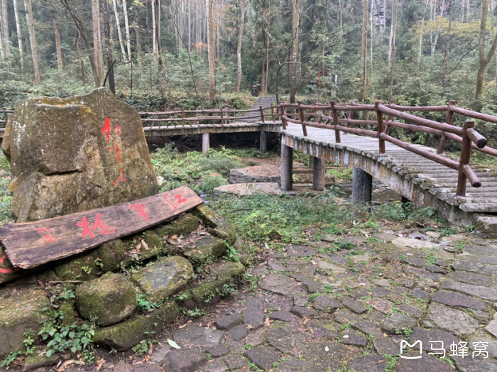 二天半张家界森林公园行程